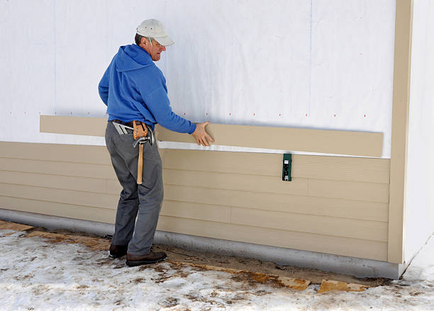 Best Insulated Siding Installation  in Elkhart, IN